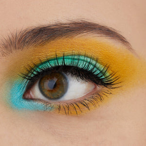 Colori Vivaci